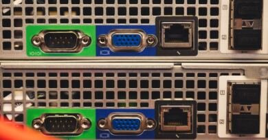 Close-up of the rear panels of two rack-mounted servers, showing green serial ports, blue VGA ports, Ethernet sockets and vented metal casing, illustrating Ox Alpha