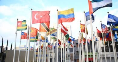 International flags flying in a city, the governments now doing frontier AI testing