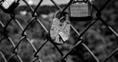 Rusty padlocks on a fence, the closed half of the open weight vs closed models question