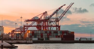 Container cranes at a port at sunset, the trade that chip export controls redirect