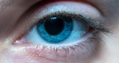 A macro photograph of a blue human eye, a contrast with how multimodal AI models process images