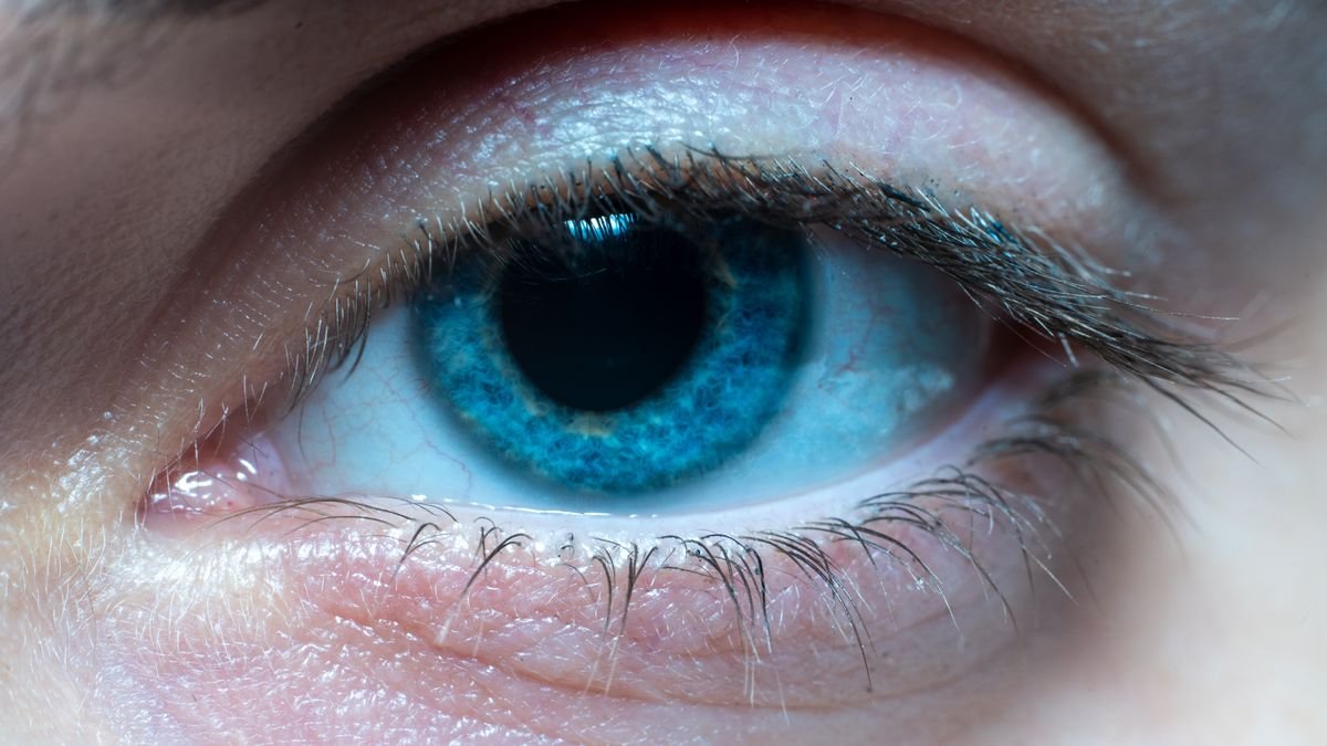 A macro photograph of a blue human eye, a contrast with how multimodal AI models process images