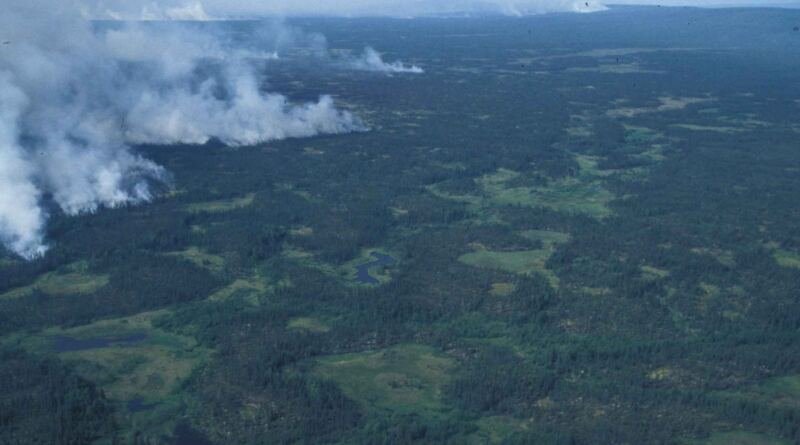 Aerial view of a smoke plume drifting over boreal forest, illustrating the AI4Fire benchmark for wildfire tasks