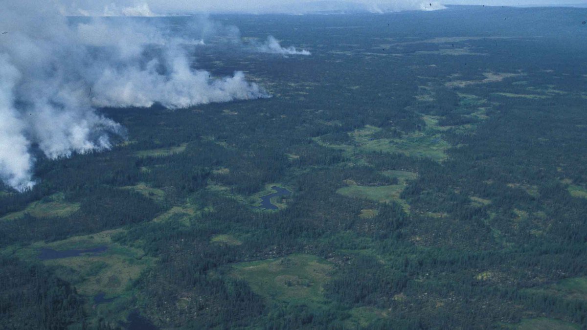 Aerial view of a smoke plume drifting over boreal forest, illustrating the AI4Fire benchmark for wildfire tasks